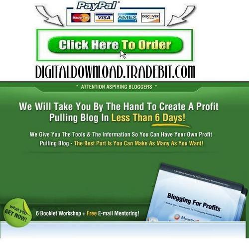 Product picture Blogging for Profits