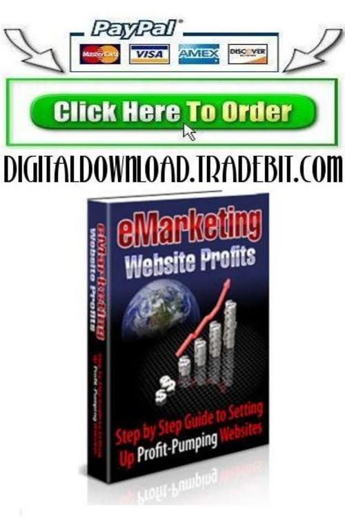 Product picture E-Marketing Website Profits