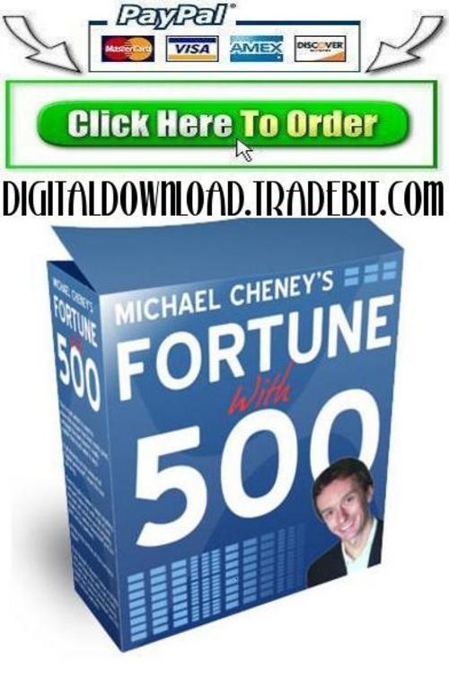 Product picture Michael Cheneys Fortune 500
