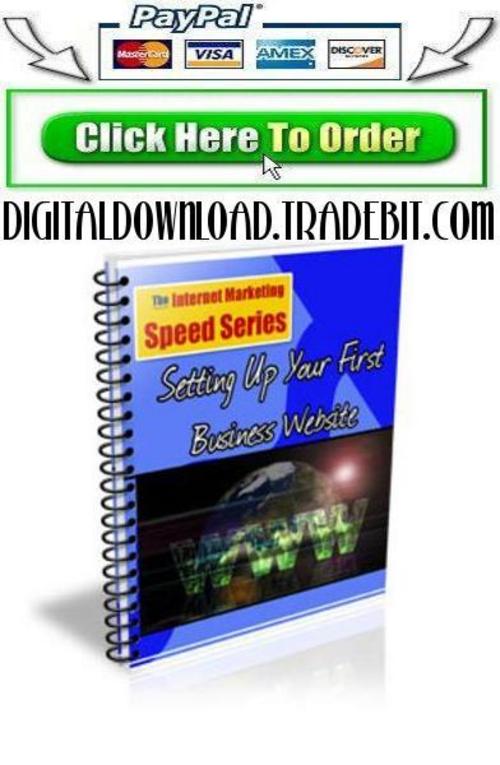 Product picture Setting Up Your First Business Website