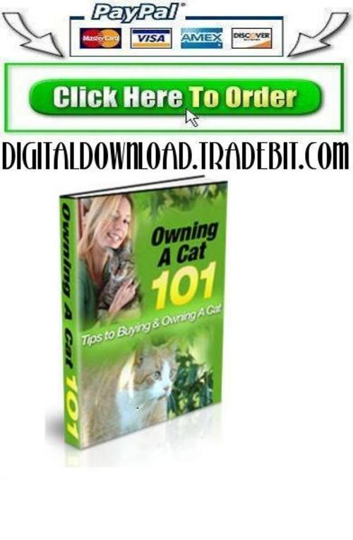 Product picture Owing A Cat