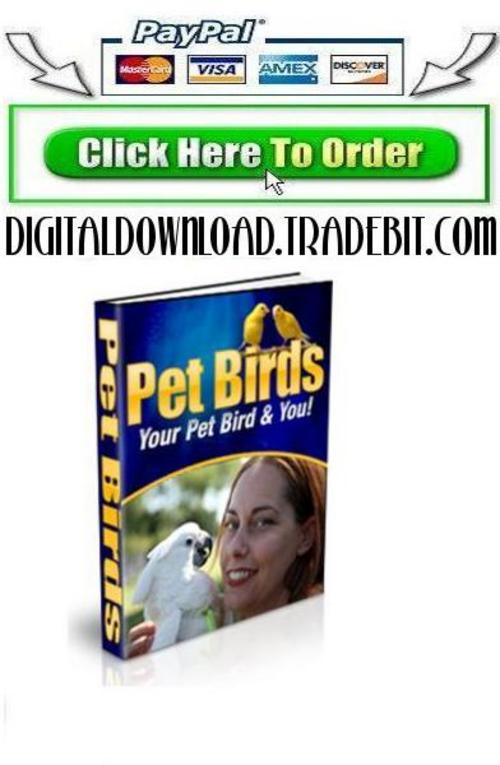 Product picture Pet Birds