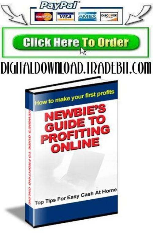 Product picture Newbies Guide To Profiting Online 