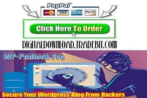 Product picture WP-Padlock PRO