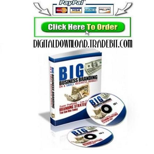 Product picture Big Business Branding on a Small Business Budget