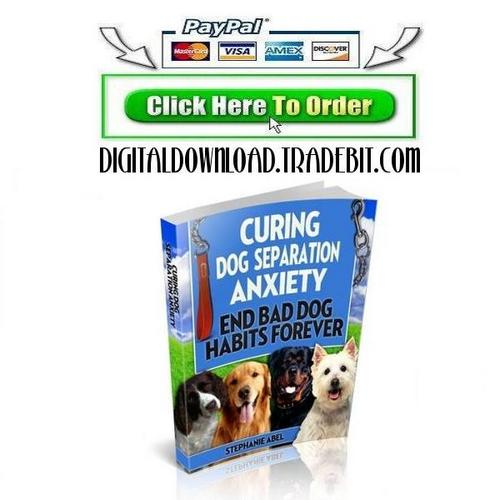 Product picture Curing Dog Separation Anxiety
