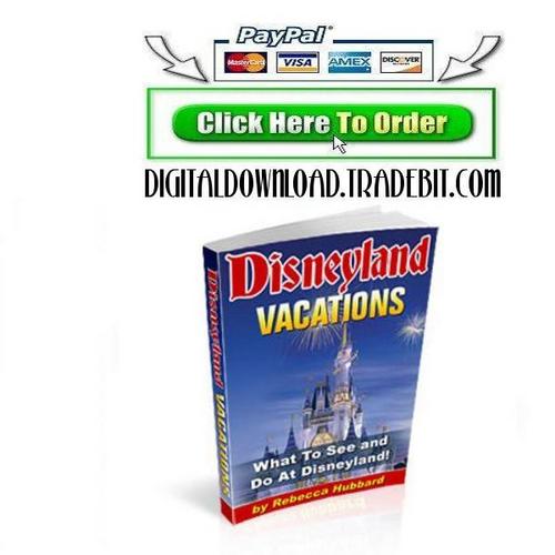 Product picture Disneyland Vacations