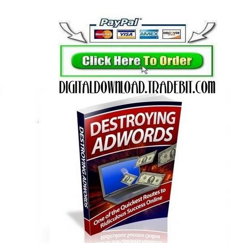 Product picture Destroying Adwords