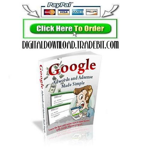 Product picture Google Adwords and Adsense Made Simple