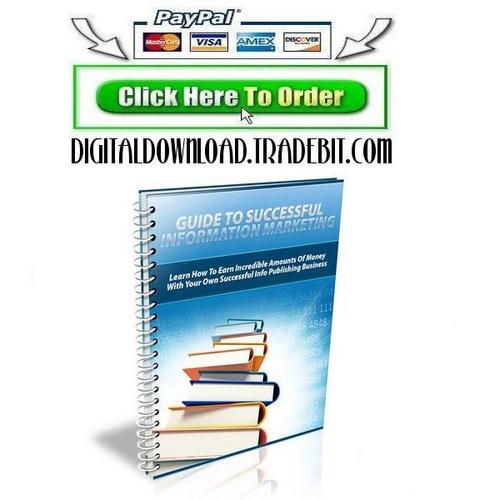 Product picture Guide To Successful Information Technology