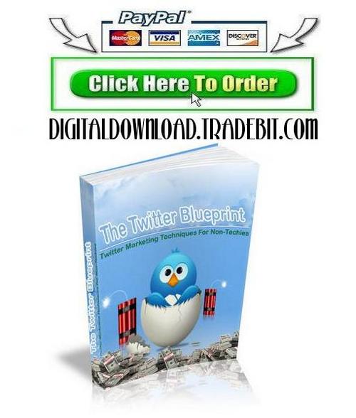 Product picture The Twitter Blueprint